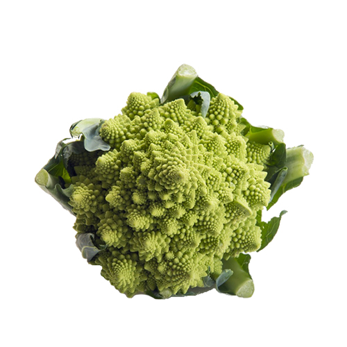 Roman broccoli