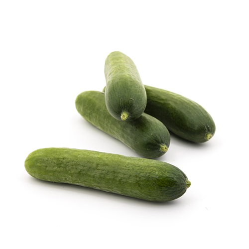 Manger cucumber