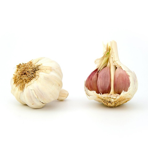 Garlic clove