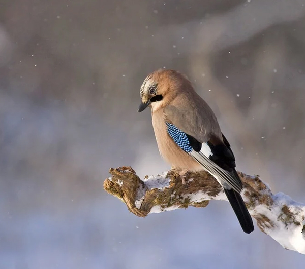 怎么拍摄才能更自然