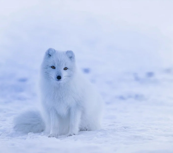 怎么拍摄才能更自然