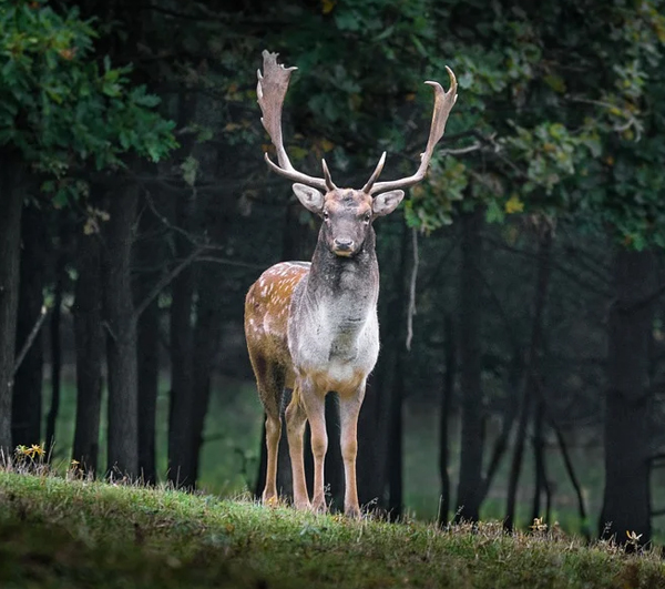 怎么拍摄才能更自然