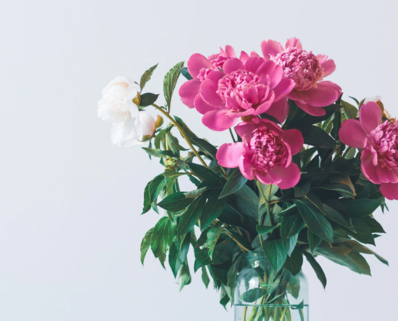 德芙320克巧克力精心之选