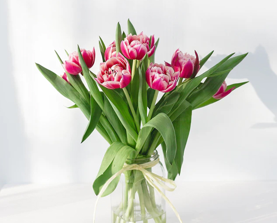 金帝美滋滋巧克力